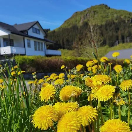 Banpim Hillside Lofoten With Jacusszi * Gravdal (Vestvagoy)
