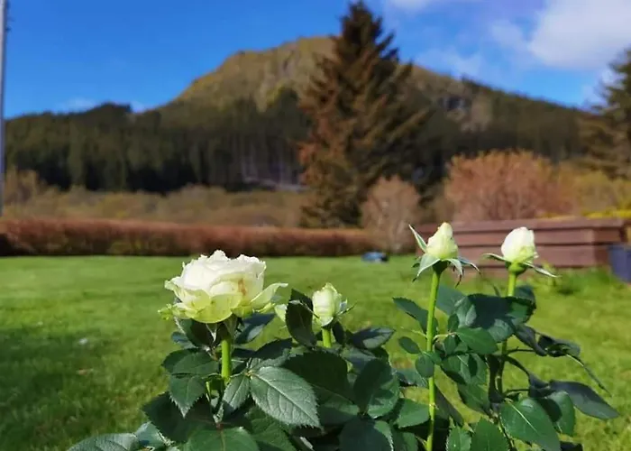 Banpim With Jacusszi Lägenhet Gravdal (Vestvagoy)